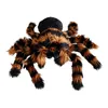 Ragno Tarantola Gigante XXL - Regalo di Halloween per Anteprima dell’immagine prodotto 1