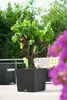 LECHUZA Pot de fleurs CUBE Cottage 50 Granit | Pot de Voir les images du produit 8