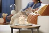 Yankee Candle Signature, Zylinder, Gelb, Bernstein, Produktbild-Vorschau 6