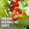 COMPO  Hochbeetdünger - 1 Liter Produktbild-Vorschau 6