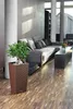 A modern living room with a large sectional sofa, a coffee table, and a potted plant. Náhled obrázku produktu