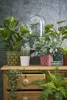 Mica Decorations Farn Kunstpflanze im Blumentopf Stan - H38 Produktbild-Vorschau 7
