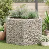 vidaXL Šestihranný gabionový zvýšený záhon 160 × 140 × 100 Náhled obrázku produktu 3
