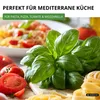 Basilikum Genoveser Samen - Ocimum basilicum - Produktbild-Vorschau 6