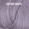 La Richè Directions Antique Mauve 89 ml Produktbild-Vorschau 2