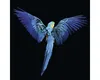 Giclée Leinwandbild Blue Parrot 80x80 cm Produktbild-Vorschau 1