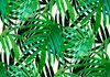 Vlies Fototapete - Tropical Leaves 100x70 cm Blätter Produktbild-Vorschau 5