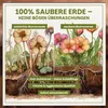 Green Home Blumenerde 72 L – Pflanzerde für Zimmerpflanzen, Produktbild-Vorschau 4