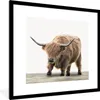 MuchoWow® MuchoWow® Gerahmtes Poster Schottisches Produktbild-Vorschau 1