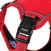 Harnais pour chien avec laisse EASY RIDE rouge M Zolux Voir les images du produit 1