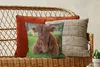MuchoWow® Zierkissen Sofakissen Wohnzimmer Dekokissen 40x40 Produktbild-Vorschau 5