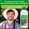Purgrün Dattelpalme-Dünger 1 Liter, Produktbild-Vorschau 2