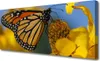 Tulup Leinwand-Bilder 125x50 Wandbild Canvas Kunstdruck Produktbild-Vorschau 1