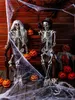 Halloween decorations with skeletons, pumpkins, and spiderwebs. Produktbild-Vorschau