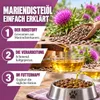 REAVET Mariendistelöl für Hunde & Pferde 500ml – Naturrein Produktbild-Vorschau 5