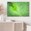 DEQORI Hybrid Leinwand Bild 90x60 cm 'Grüne Juwelen' Produktbild-Vorschau 4