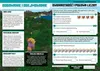 Minecraft Matematyka Megazadania 7+ Podgląd zdjęcia produktu 2