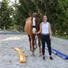 A woman stands next to a horse in a sandy arena with training equipment. Náhľad obrázku produktu