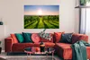 MuchoWow® Poster Grüne Weinberge bei Sonnenaufgang 120x80 Produktbild-Vorschau 2