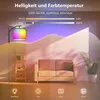 155cm lampada da terra LED RGB dimmerabile lampada da Anteprima dell’immagine prodotto 2