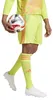 Adidas - "Tiro 24" Shorts für Herren PP5259 (L) (Gelb/Grün) Produktbild-Vorschau 3