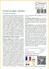 SAFLAX  - Cerisier du Japon - 30 graines - Avec substrat - Voir les images du produit 3