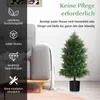COSTWAY Plante artificielle cèdre 80 cm, plante Voir les images du produit 4