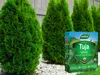 Thuja-Dünger 1 l - Hochwertig - Nährstoffreich - Für Garten Produktbild-Vorschau 6