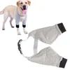 A dog wearing a grey and black dog coat, and a separate pair of dog leg warmers are shown. Anteprima dell’immagine prodotto