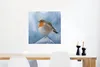 MuchoWow® Poster Rotkehlchen - Winter - Blau 50x50 cm - Produktbild-Vorschau 5