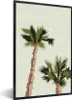 MuchoWow® MuchoWow® Gerahmtes Poster Palme - Strand - Produktbild-Vorschau 1