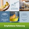 PANTO Kanarienfutter mit Pluramin® 5 x 1kg - Produktbild-Vorschau 4