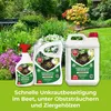Protect Garden Permaclean Express Unkrautfrei AF - 1 Liter Produktbild-Vorschau 13