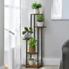 DanDiBo Escalier pour fleurs Indoor Métal Noir 5 étages Voir les images du produit 1