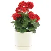 Bloempot met onderzetter, diameter 29,2 cm, hoogte 28,3 cm. Productafbeelding-voorbeeld 1