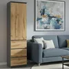 Armoire, armoire vestiaire, armoire polyvalente avec 3 Voir les images du produit 7