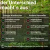 A comparison of firewood quality between "Energie Kienbacher" and "Andere Hersteller" presented against a forest background. Produktbild-Vorschau