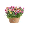 elho green basics Schale 27cm - mild tonrot Produktbild-Vorschau 6