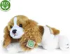 Plüschtier - Hund KAVALIR KING CHARLES SPANIEL liegend 30 Produktbild-Vorschau 5