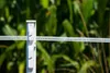 horizont Kunststoffpfahl mit Metallspitze – Produktbild-Vorschau 4