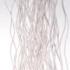 A close-up of white willow branches arranged vertically. Náhľad obrázku produktu