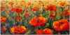 Coloray Bild aus Leinwand 120x60 Leinwand Dekoration - Produktbild-Vorschau 1