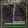 Lupine Gründünger 2 kg Produktbild-Vorschau 3
