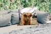 MuchoWow® Outdoor Kissen - Schottisches Hochlandrind - Kuh Produktbild-Vorschau 2
