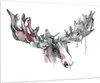 Bilder auf glas - Moose Bunt Kopf Abbildung - 100x70cm - Produktbild-Vorschau 1