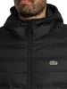 Lacoste Logo Puffer Jacke, Schwarz M Produktbild-Vorschau 5
