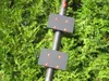 Gepäckkorb-Zubehör für den Ninebot by Segway KickScooter Produktbild-Vorschau 15