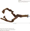 2 Stück Natur Sitzstangen Set für Vögel, Wildes Traubenholz Produktbild-Vorschau 2