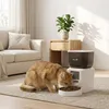 PawHut Voerautomaat voor Katten, 2,4G WiFi, 4 liter Productafbeelding-voorbeeld 2