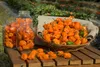 SAFLAX Anzucht Set - Chili - Gelbe Habanero - Capsicum Produktbild-Vorschau 4